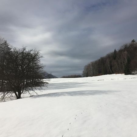 Pokoje Goscinne Vida Krynica-Zdrój Extérieur photo