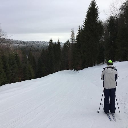 Pokoje Goscinne Vida Krynica-Zdrój Extérieur photo