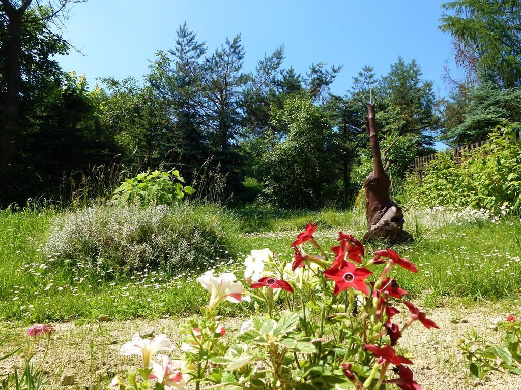 Pokoje Goscinne Vida Krynica-Zdrój Extérieur photo