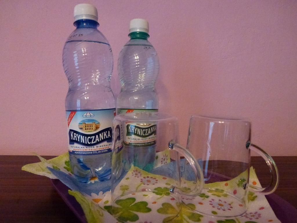 Pokoje Goscinne Vida Krynica-Zdrój Chambre photo