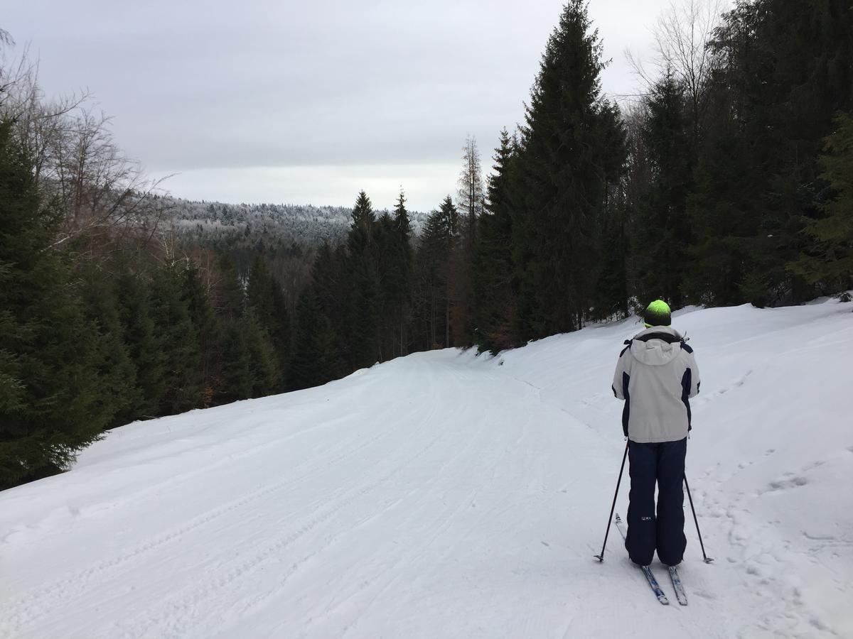 Pokoje Goscinne Vida Krynica-Zdrój Extérieur photo